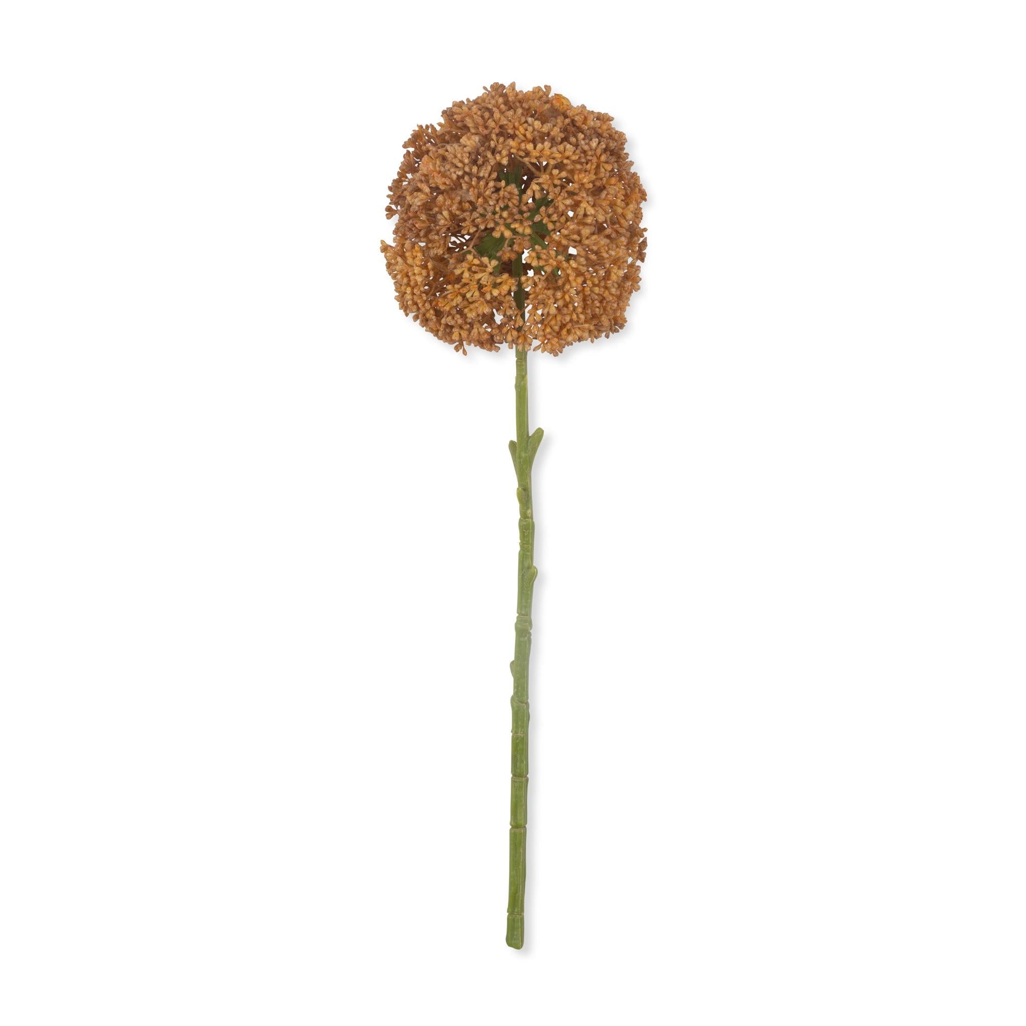 Indoor Trees and StemsArtificial Allium Flower Stem - Umber - Dekor Butik