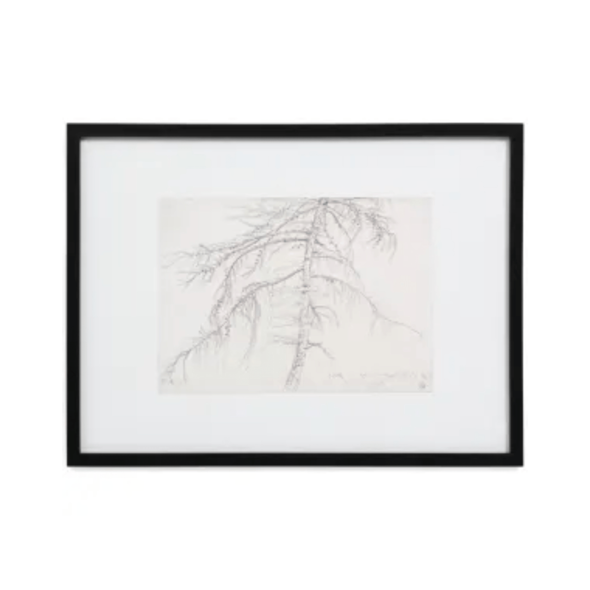 ArtFramed Tree Sketch Wall Art - Dekor Butik