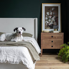 Josie Queen Bed - Cream