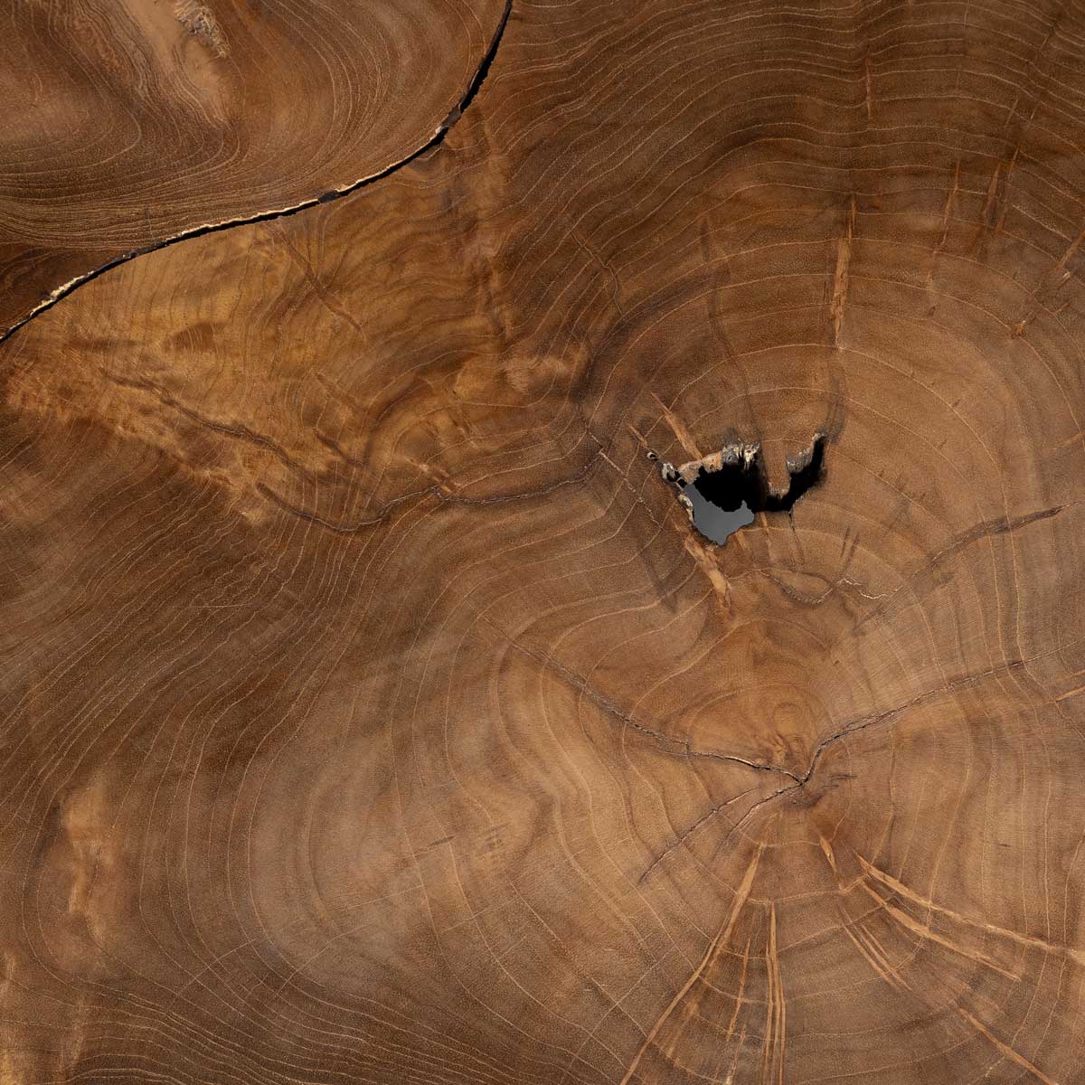 Natura Flow Coffee Table
