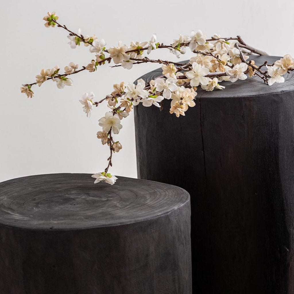 Nova Wide 16" Stump - Round - Black