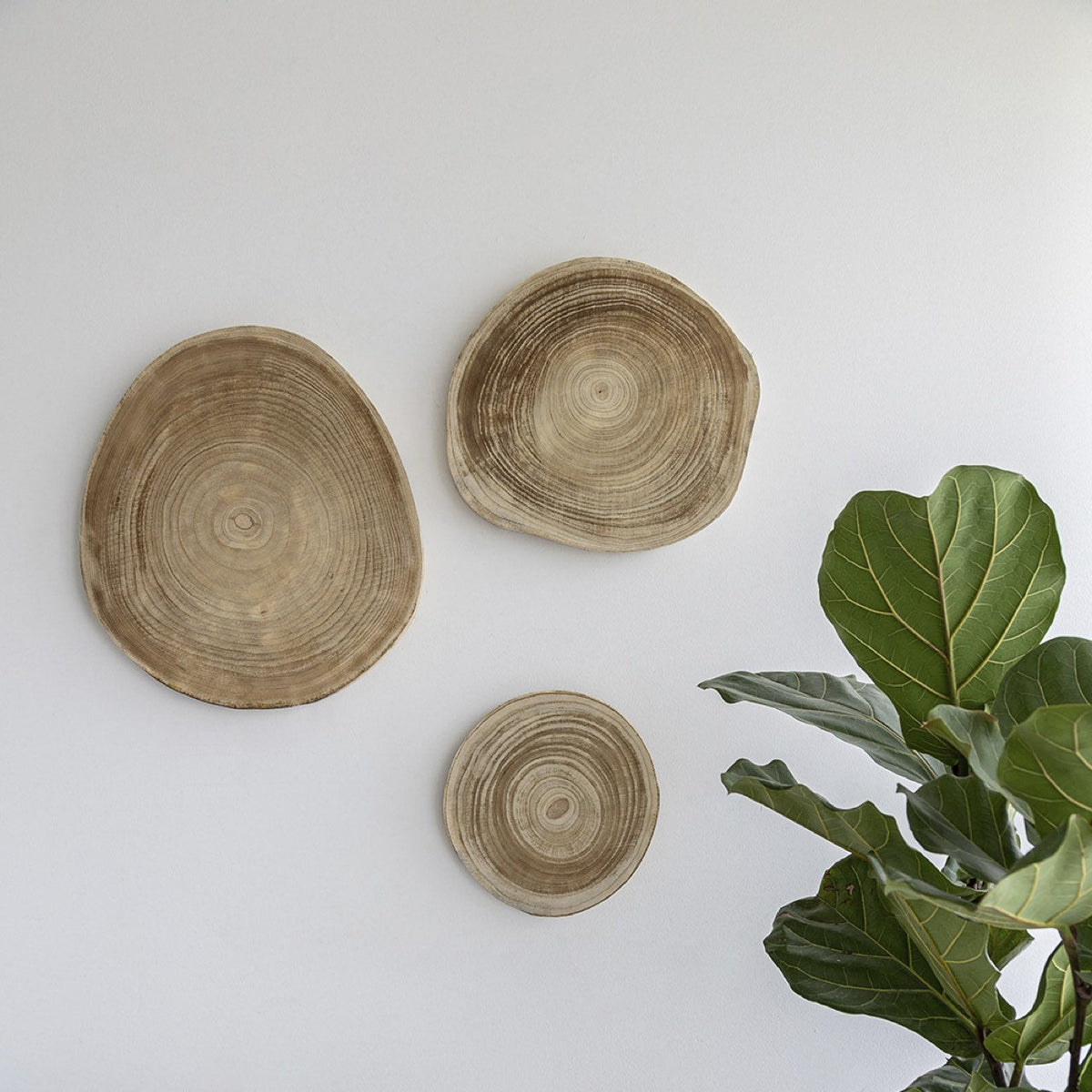 Nova Slice Set of 3