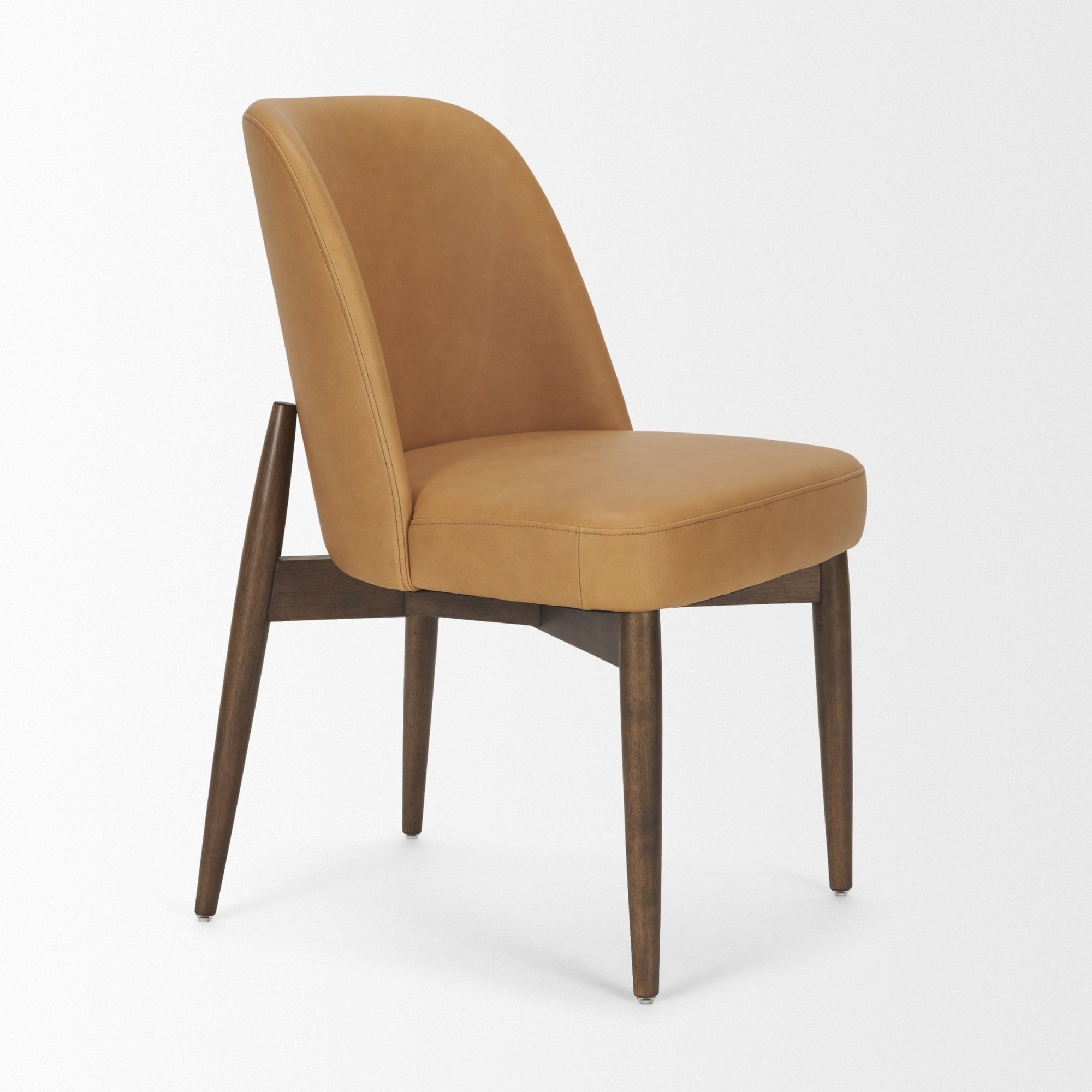Abbie Curve Dining Chair - 3 COLORS - Dekor Butik