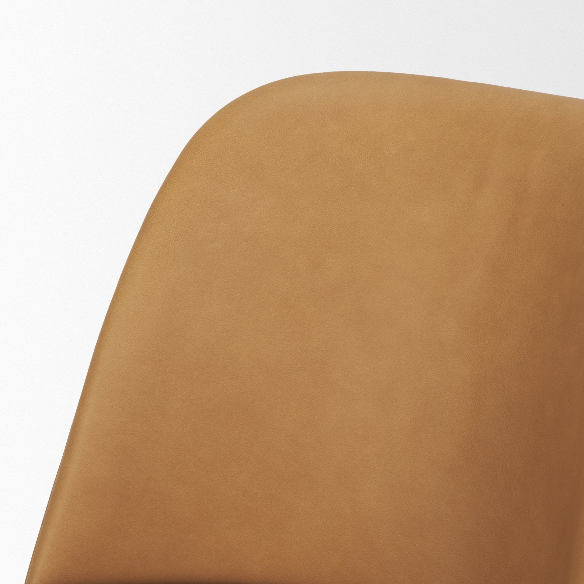 Abbie Curve Dining Chair - 3 COLORS - Dekor Butik