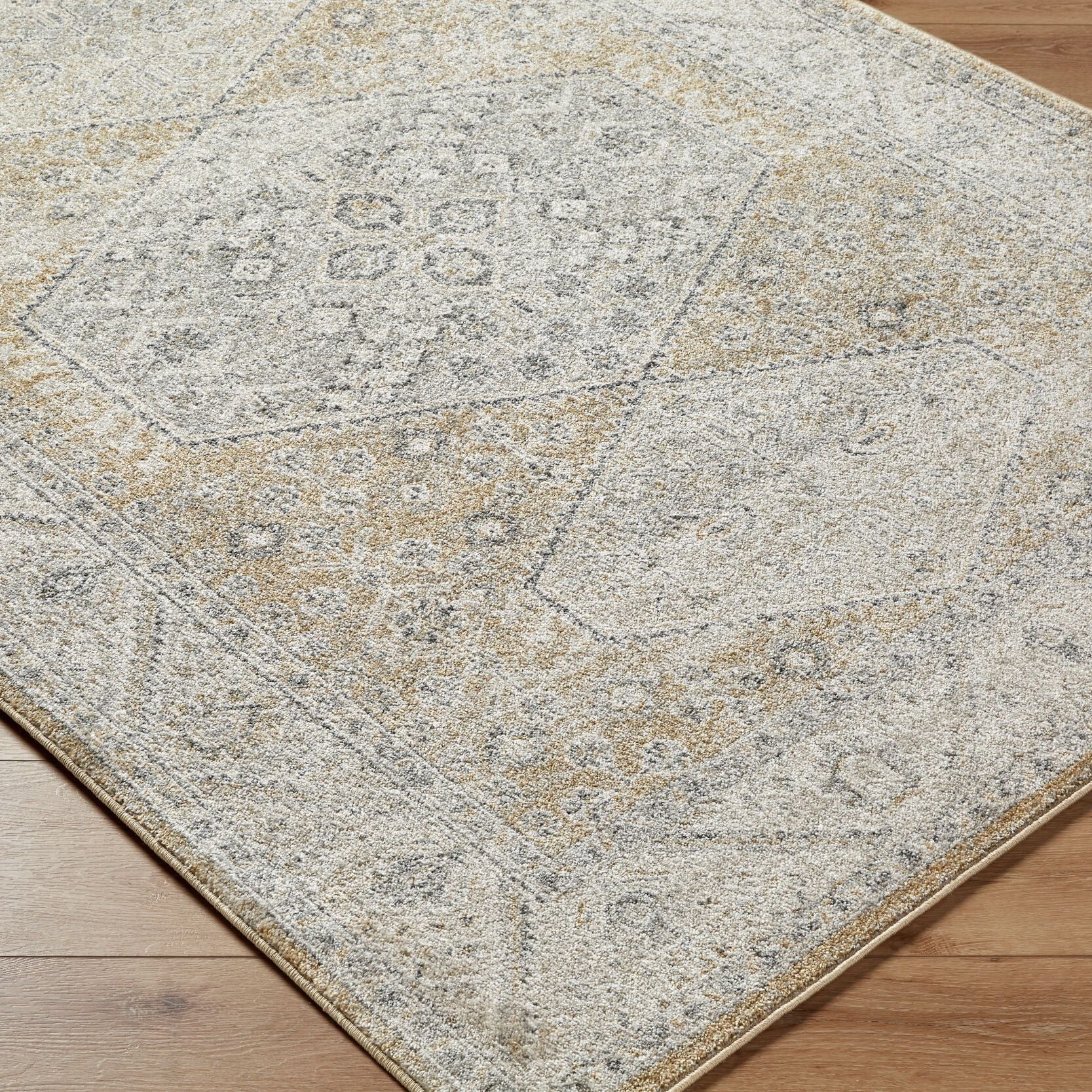 Area RugsAlpharetta Machine Woven Rug - APH - 2315 - Dekor Butik