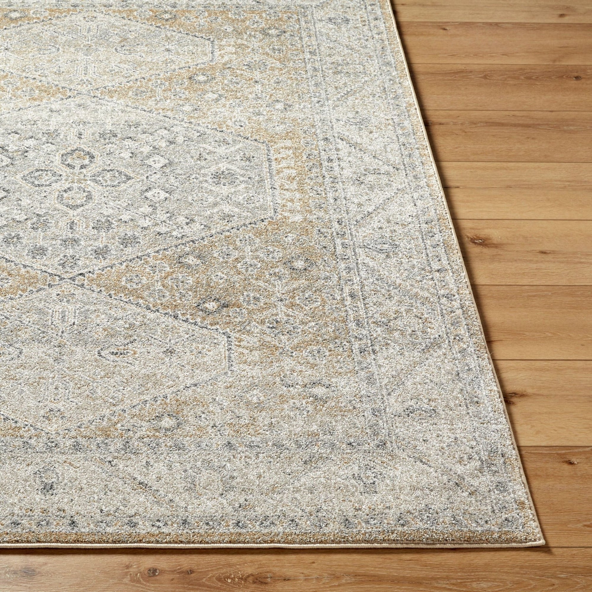 Area RugsAlpharetta Machine Woven Rug - APH - 2315 - Dekor Butik