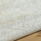Area RugsAlpharetta Machine Woven Rug - APH - 2315 - Dekor Butik