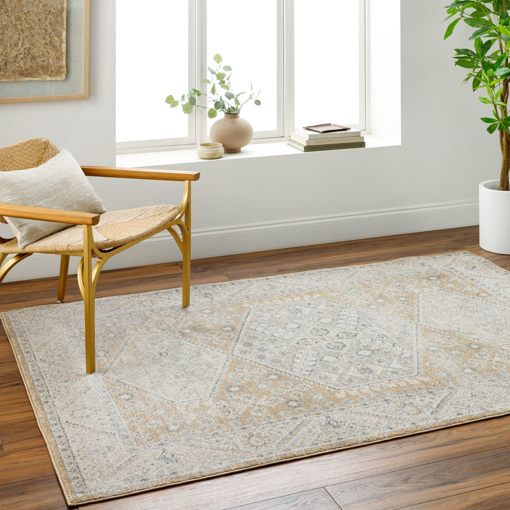 Area RugsAlpharetta Machine Woven Rug - APH - 2315 - Dekor Butik