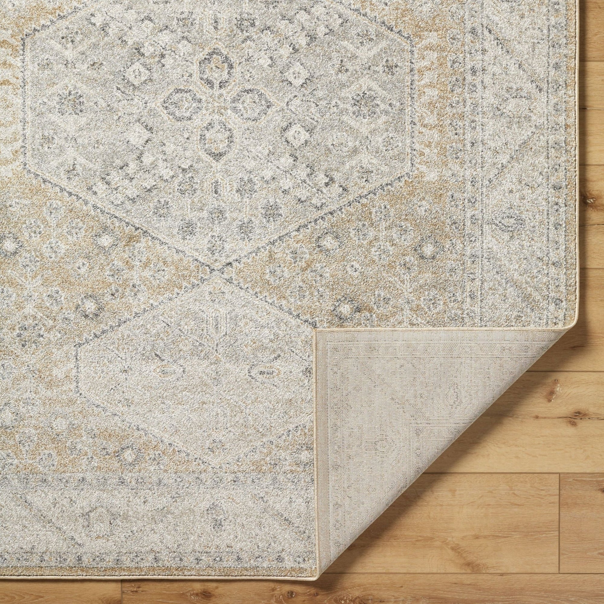 Area RugsAlpharetta Machine Woven Rug - APH - 2315 - Dekor Butik