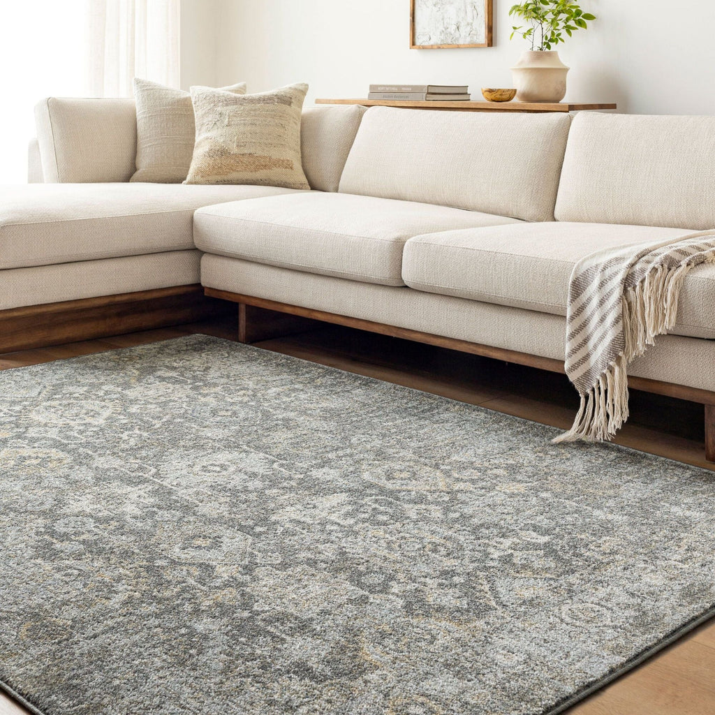 Area RugsAlpharetta Machine Woven Rug - APH - 2318 - Dekor Butik