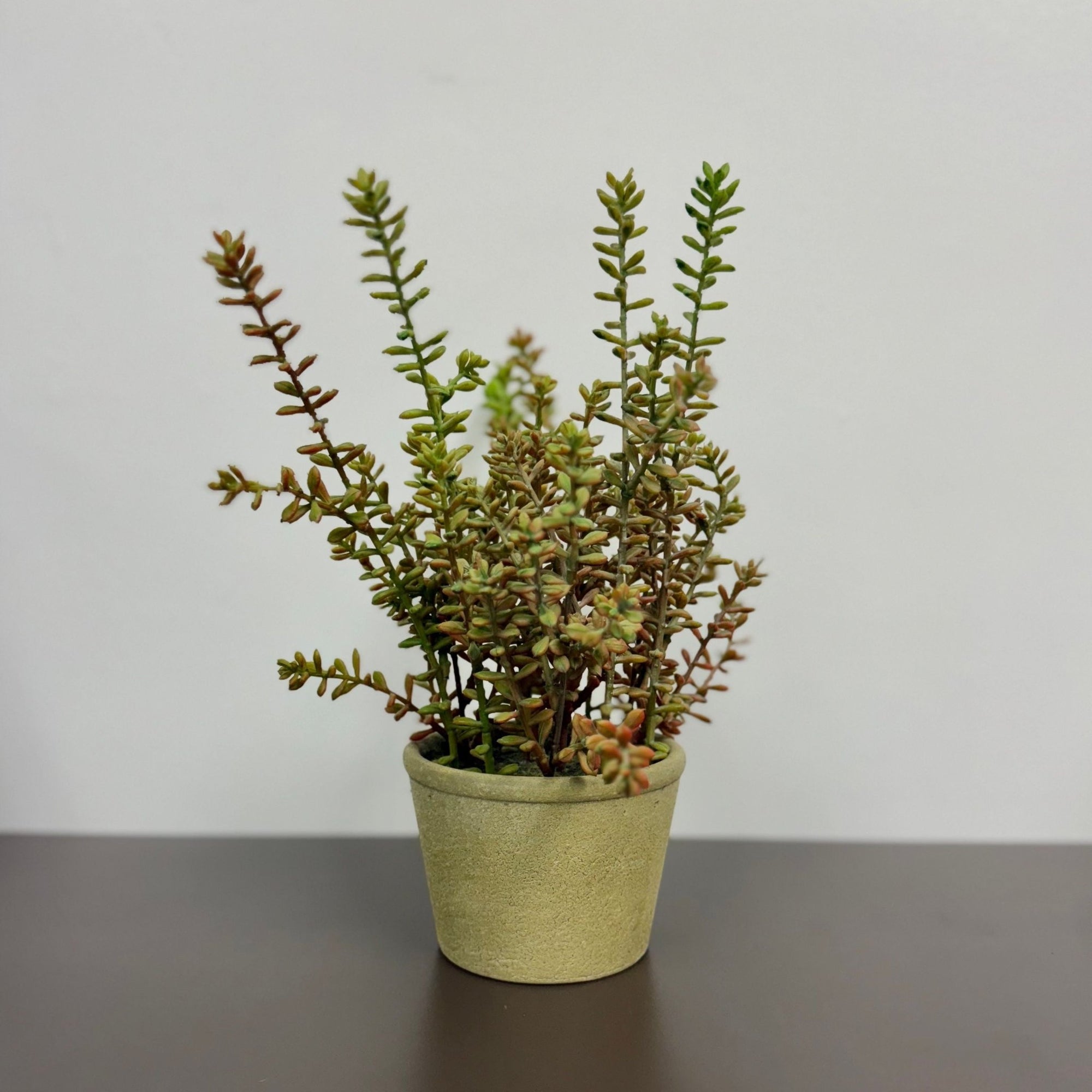 Indoor Trees and StemsArtificial Burro In Pot - Dekor Butik