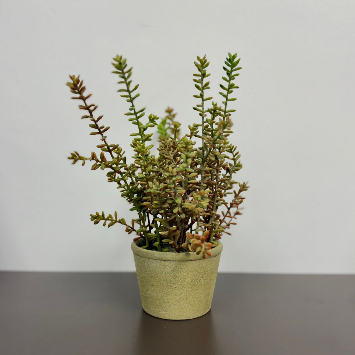 Indoor Trees and StemsArtificial Burro In Pot - Dekor Butik