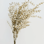 Indoor Trees and StemsArtificial Heather Grass Stem - Dekor Butik