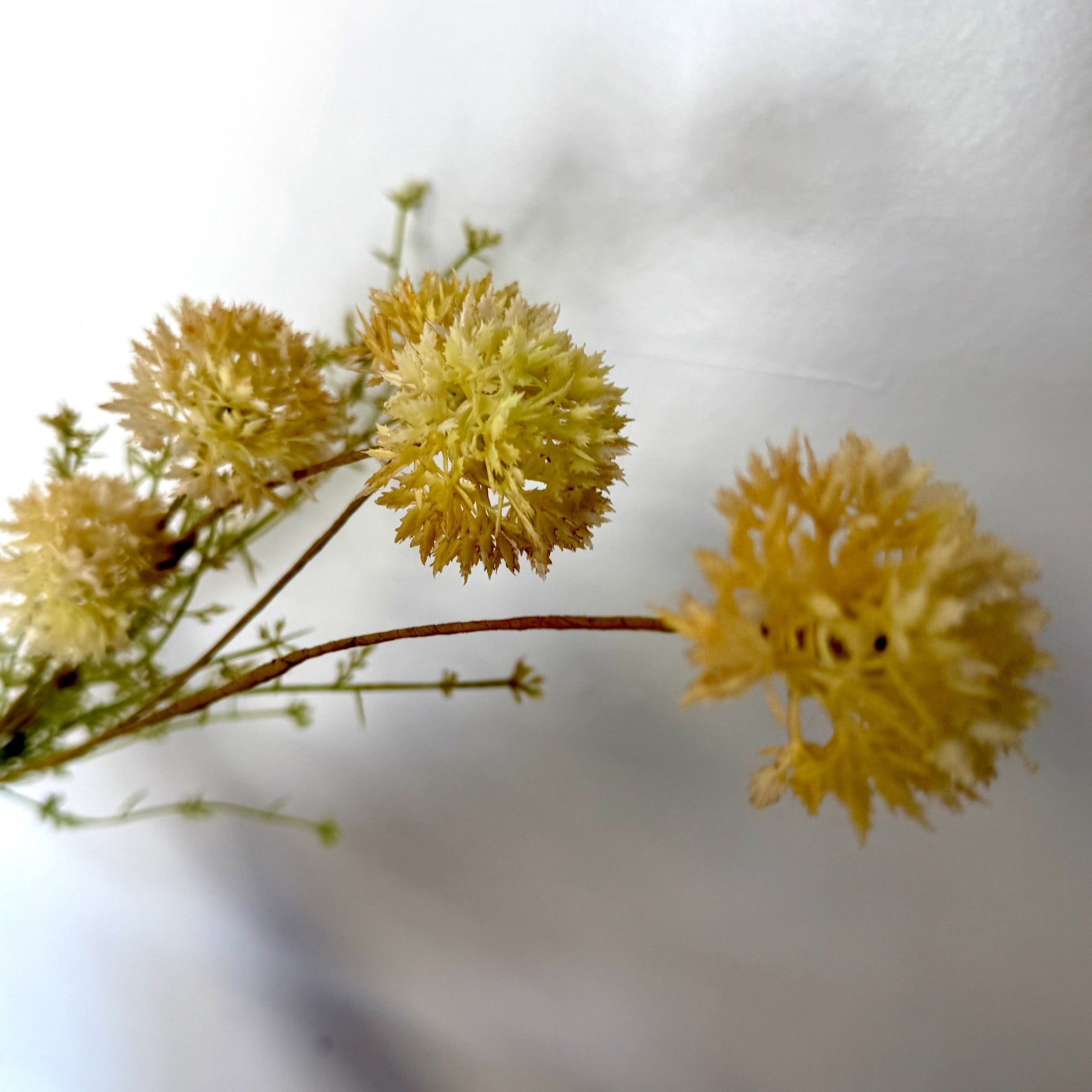 Indoor Trees and StemsArtificial Melaleuca Stem - 2 Colours - Dekor Butik