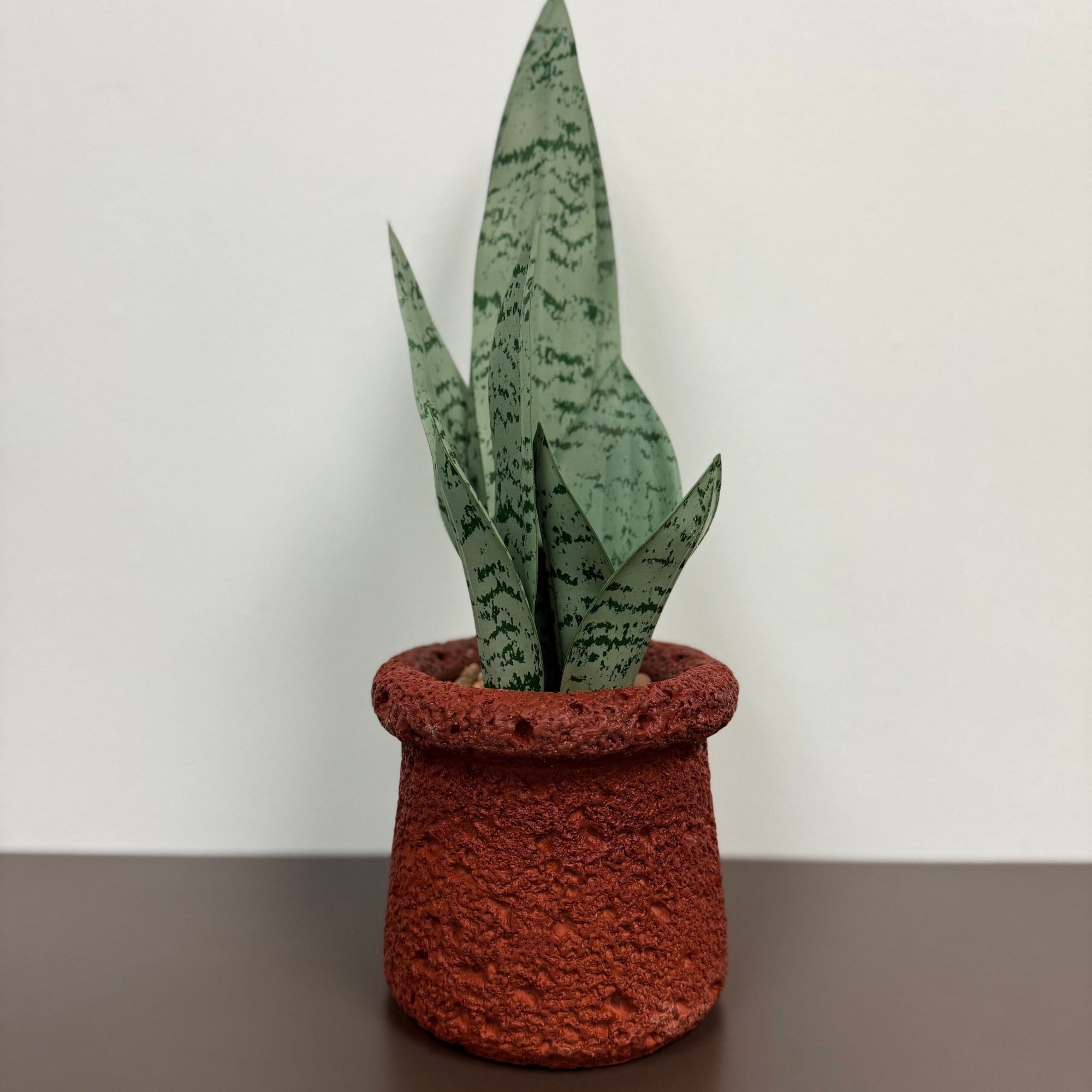 Indoor Trees and StemsArtificial Plante De Serpent - Dekor Butik