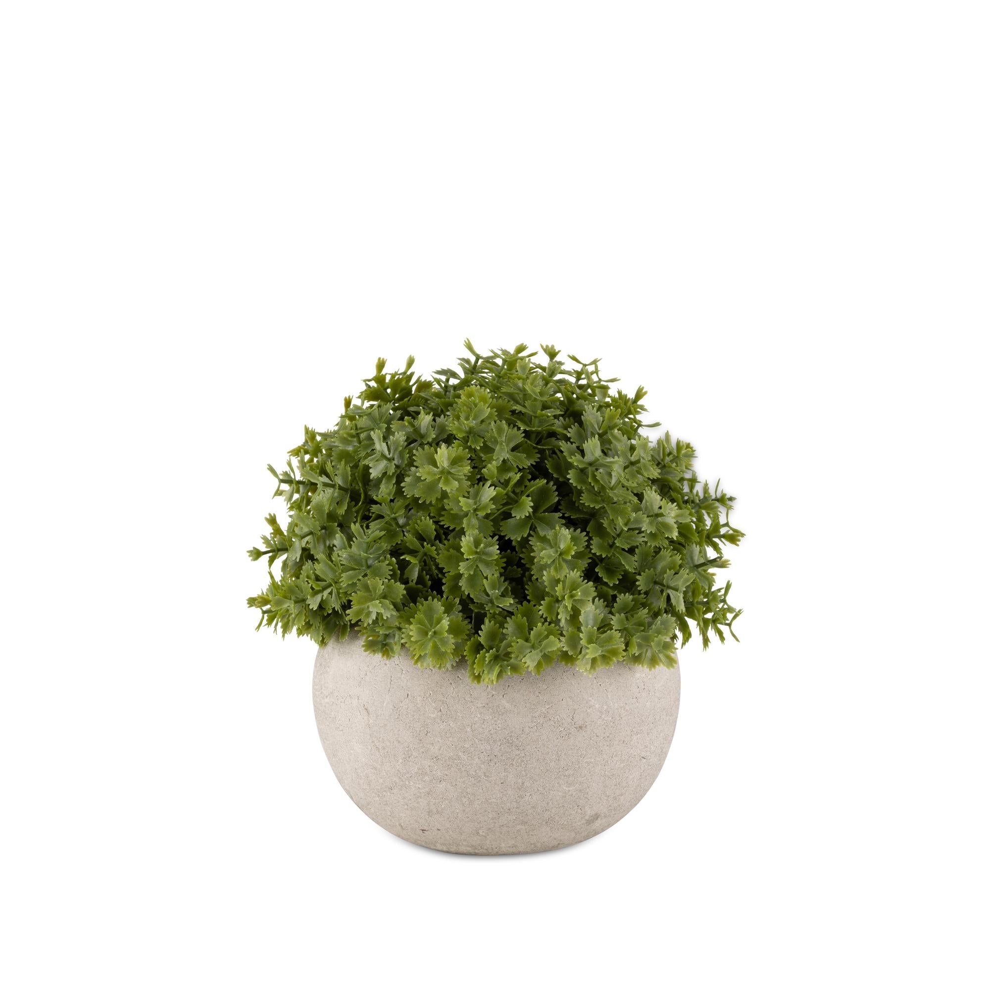 Indoor Trees and StemsArtificial Veronica Plant In Pot - Dekor Butik