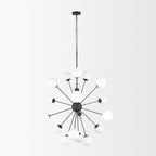 Barbara Matte Black Metal w/ Frosted Glass Globes 18 - Light Chandelier - Dekor Butik