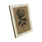 DecorCarved Edge Bone Frame - 5x7 - Dekor Butik