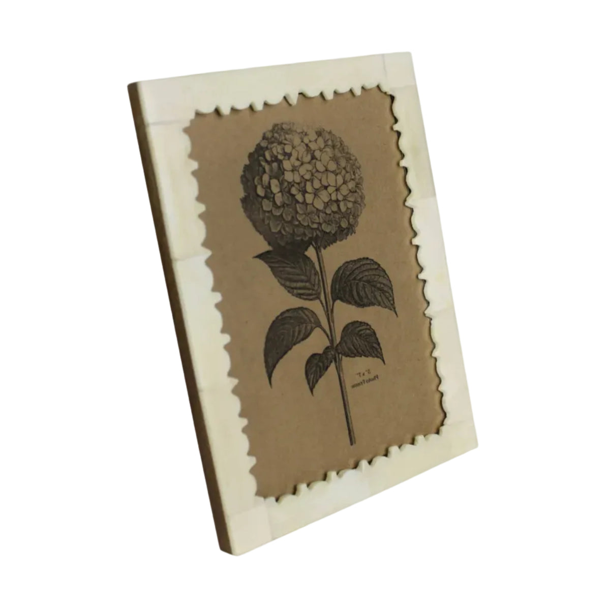 DecorCarved Edge Bone Frame - 5x7 - Dekor Butik