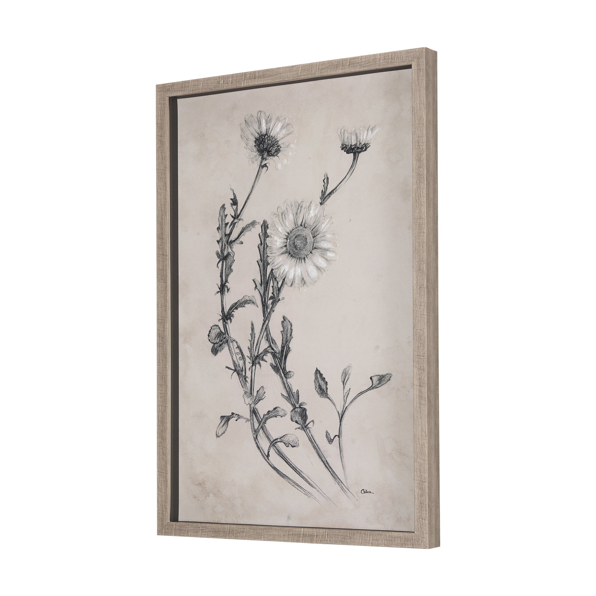 ArtChamomile Drawing I Framed Wall Art - Dekor Butik