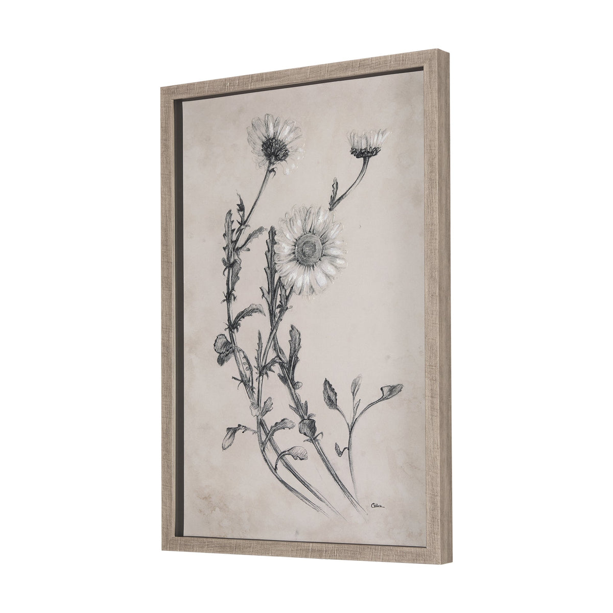 ArtChamomile Drawing I Framed Wall Art - Dekor Butik