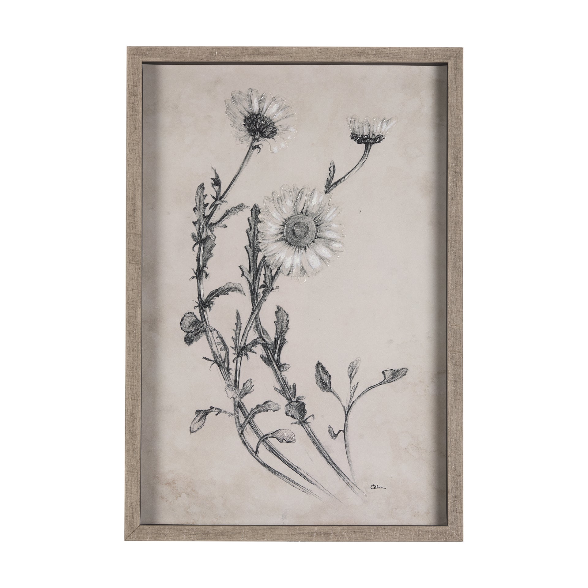 ArtChamomile Drawing I Framed Wall Art - Dekor Butik