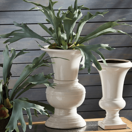 DecorConservatory Vase - Dekor Butik