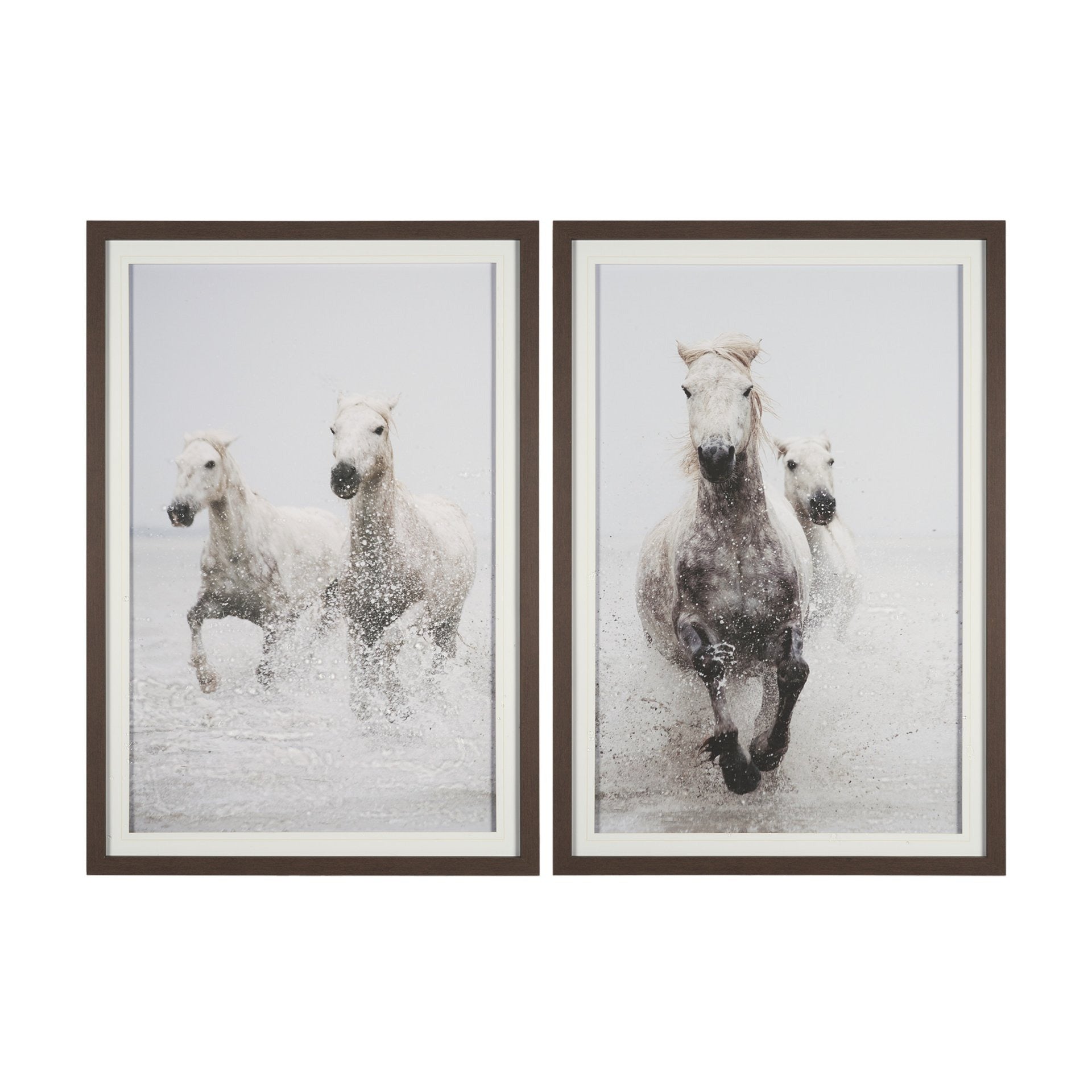 Determination Horse(Set of 2) by Irene Sucocki a Hand Embellished Framed Art Photo Print under Glass - Dekor Butik