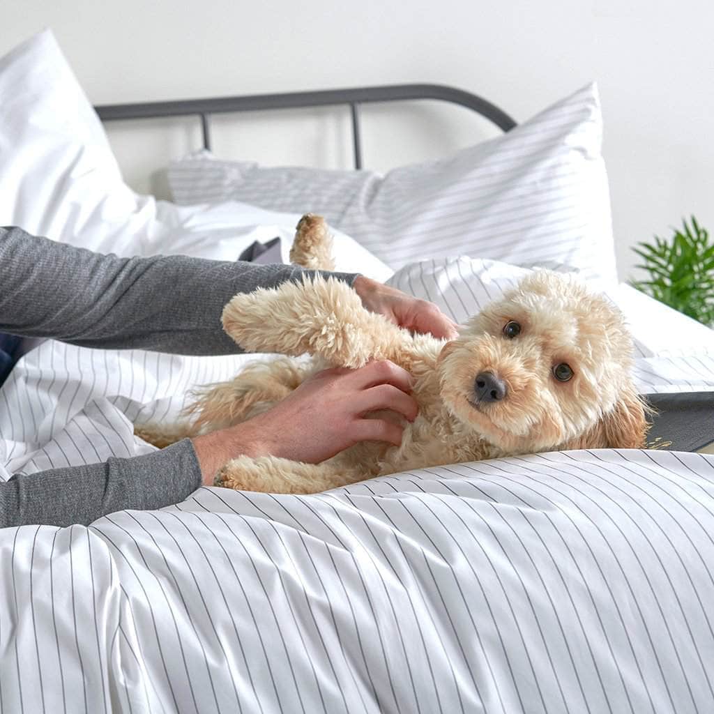Duvet CoverEssential Organic Percale Collection Duvet Cover - Dekor Butik