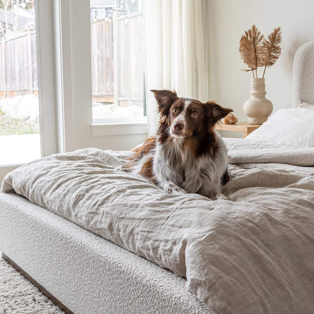 baseFaye Queen Bed - Off White - Dekor Butik