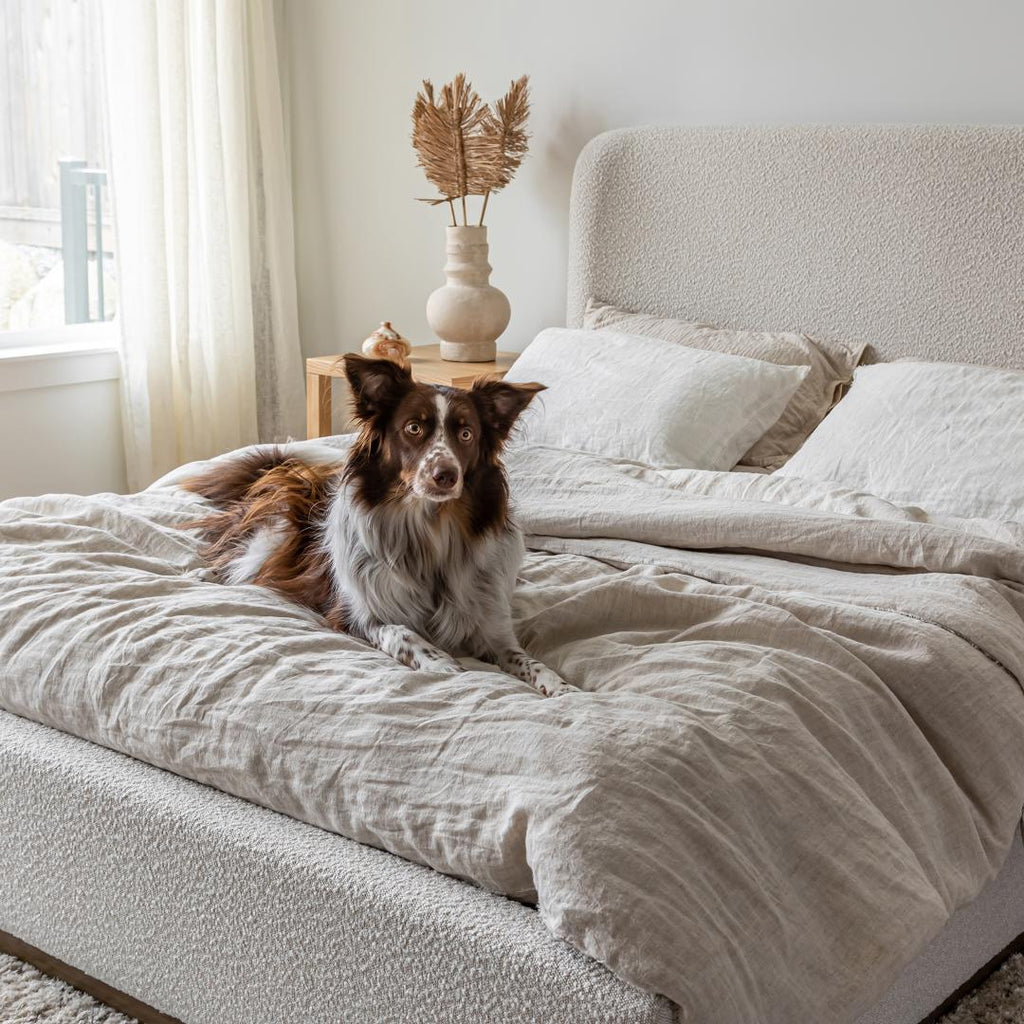 baseFaye Queen Bed Short - Off White - Dekor Butik