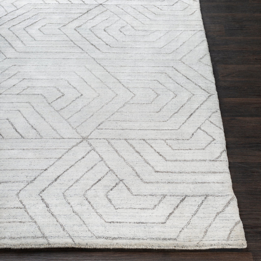 Area RugsHightower Area Rug - HTW - 3012 - Dekor Butik