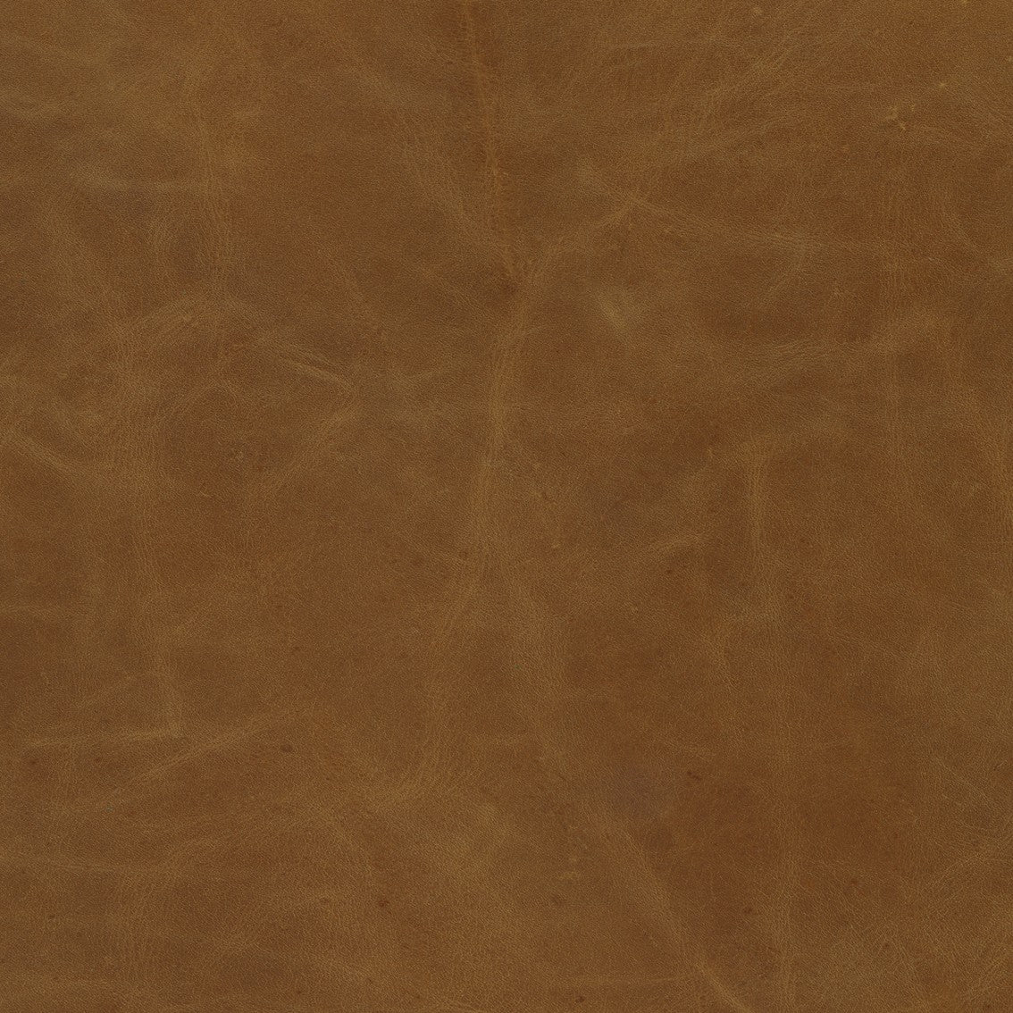 Hollyfield Bar Height Stool | 4 Colors - Dekor Butik