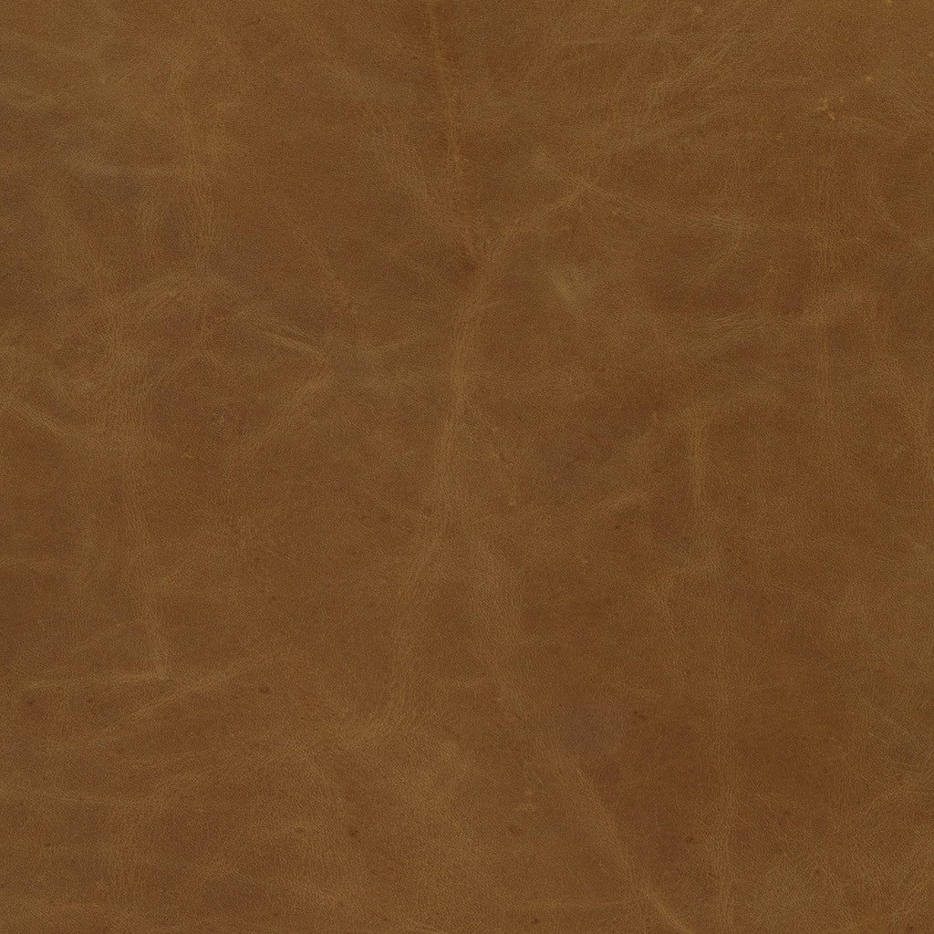 Hollyfield Counter Height Stool | 4 Colors - Dekor Butik