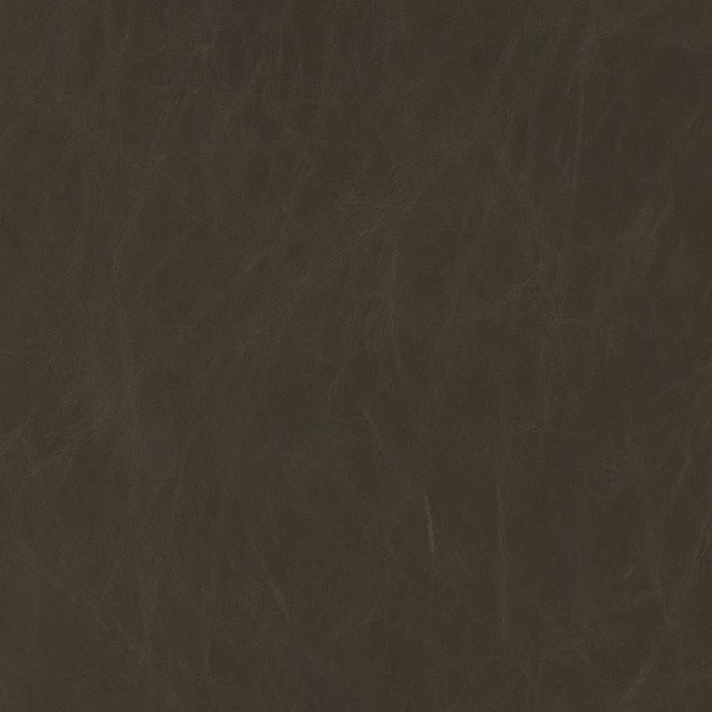 Hollyfield Counter Height Stool | 4 Colors - Dekor Butik