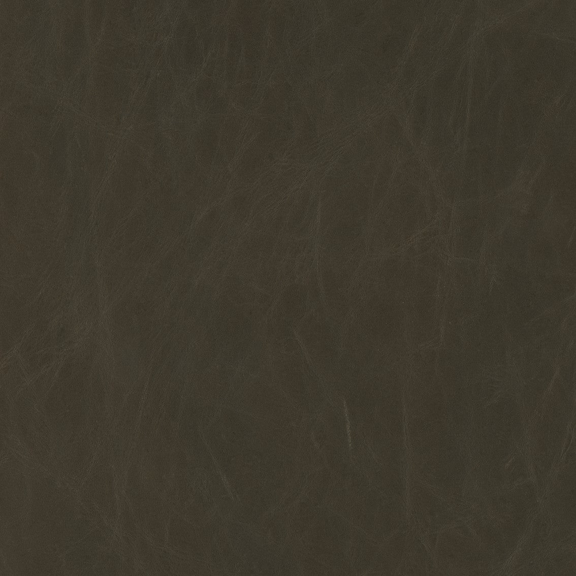 Hollyfield Counter Height Stool | 4 Colors - Dekor Butik