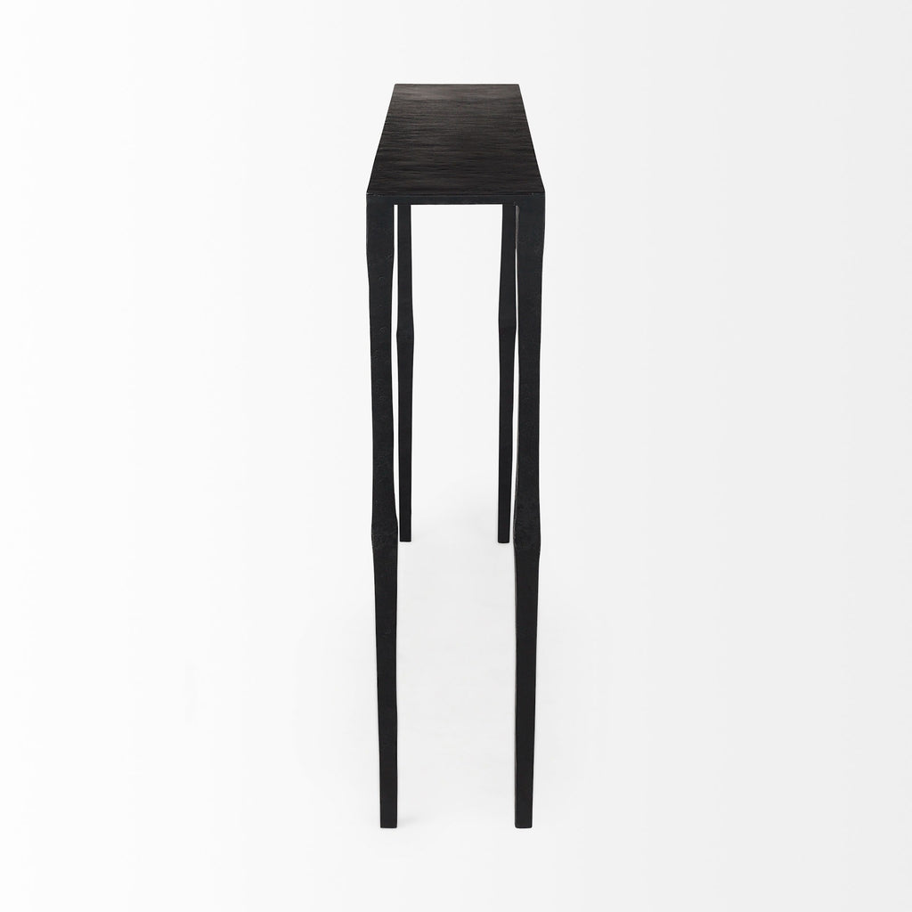 Timothy 48.0 X 8.0 X 30.0 Ebony Black Iron Console Table