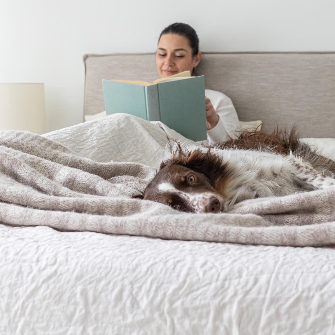 baseJulia Double Storage Bed Short - Sand - Dekor Butik