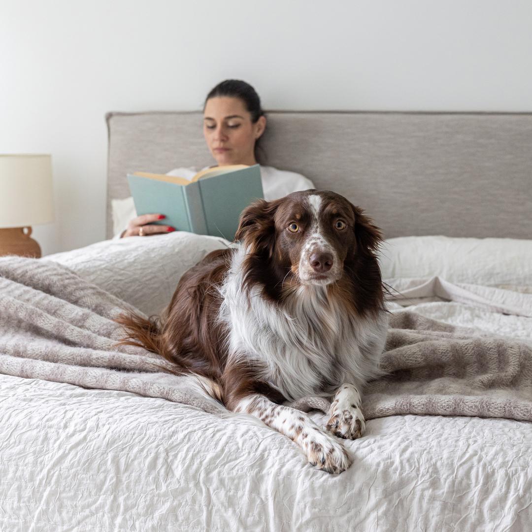 baseJulia King Storage Bed Short - Sand - Dekor Butik