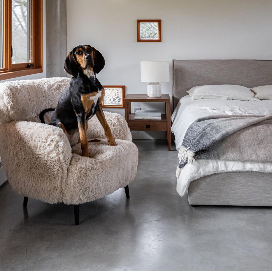 baseJulia Queen Storage Bed Short - Sand - Dekor Butik