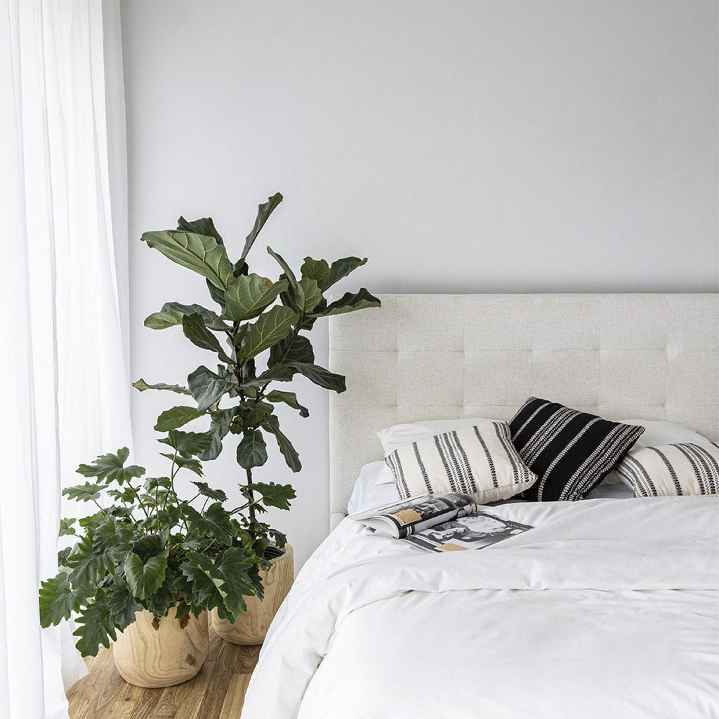 baseJune Queen Bed - Cream - Dekor Butik