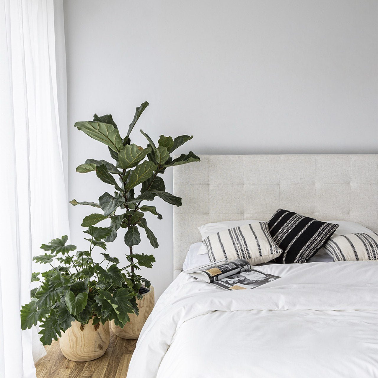 baseJune Queen Bed - Cream - Dekor Butik