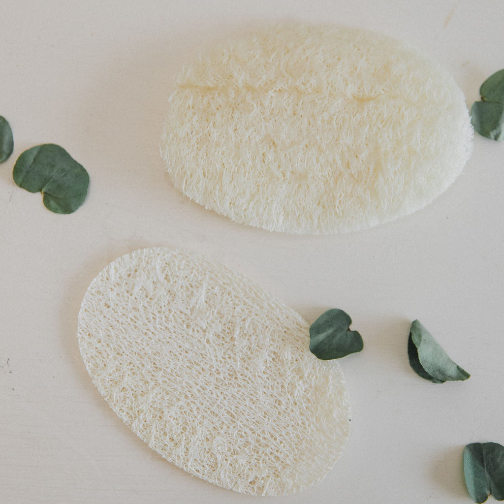 Home Cleaningloofah - Dekor Butik