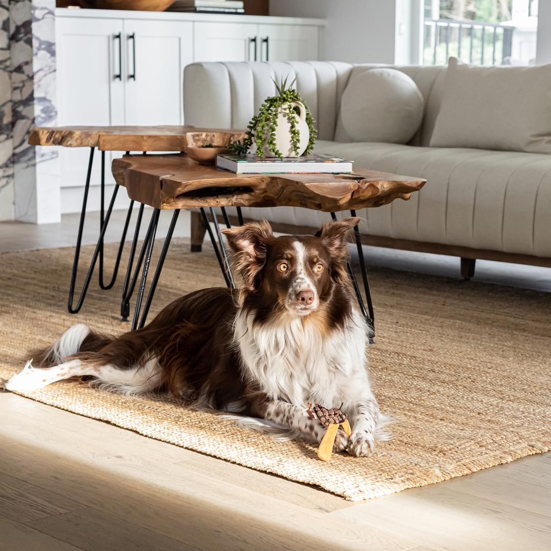 baseNatura Hairpin Coffee Table - Dekor Butik