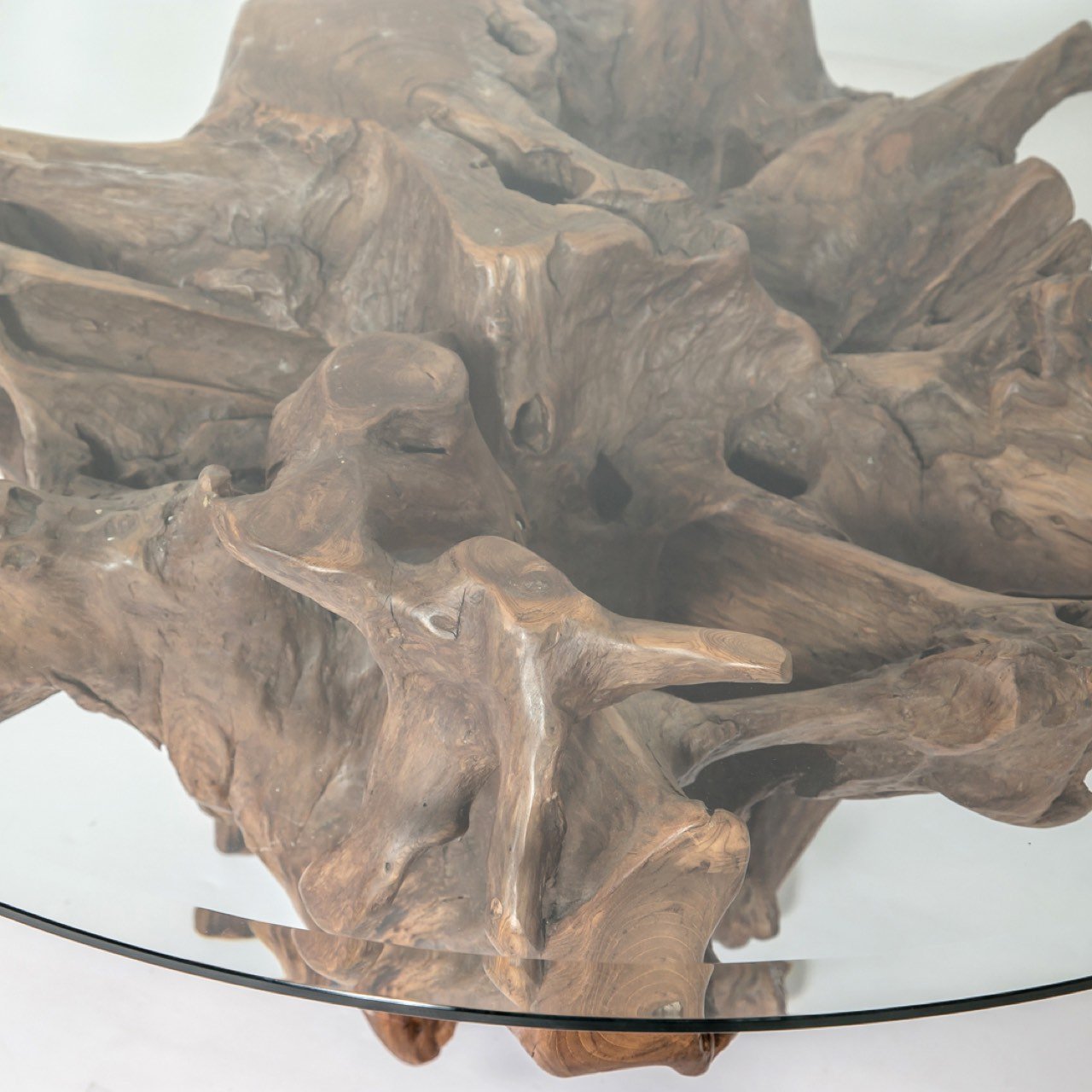 baseNatura Round Root Coffee Table - L - Dekor Butik