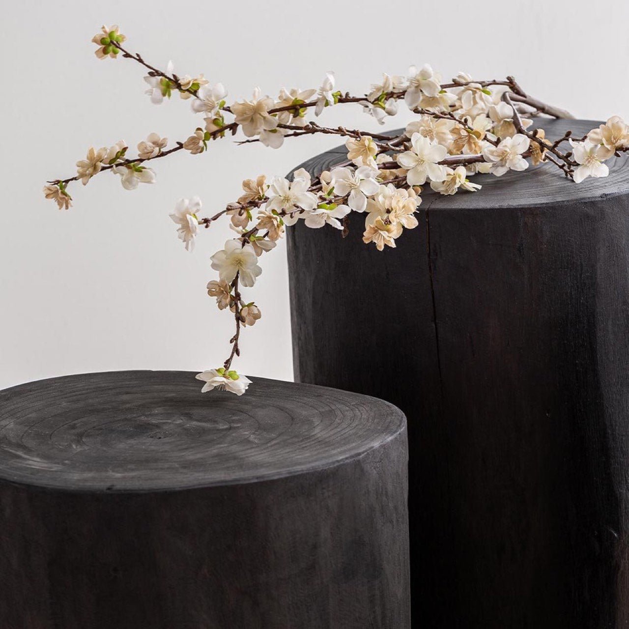 baseNova Wide 16" Stump - Round - Black - Dekor Butik