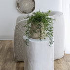 baseNova Wide 21" Stump - Round - White - Dekor Butik