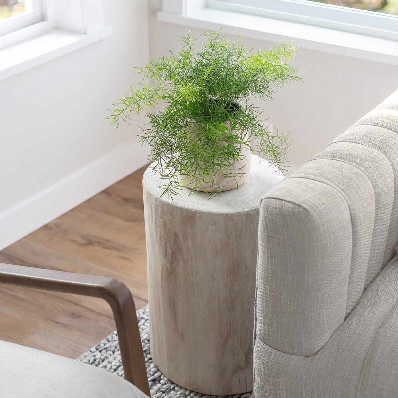 baseNova Wide 21" Stump - Round - White - Dekor Butik