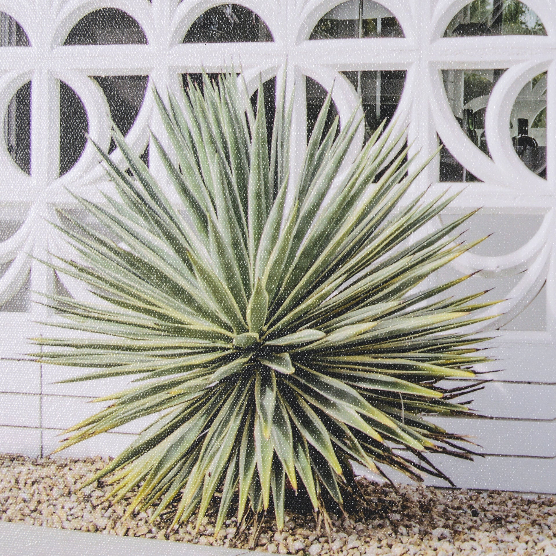 ArtPalm Springs Villa - Dekor Butik