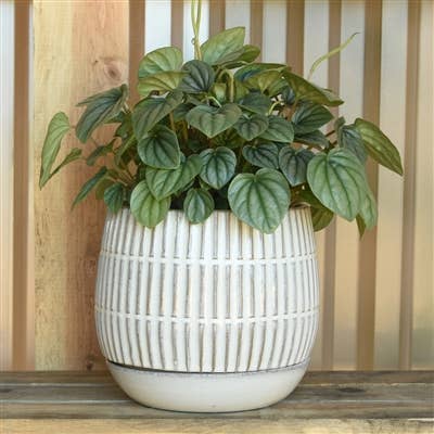 DecorRamos Linear Cachepot with Saucer, Stoneware - Dekor Butik
